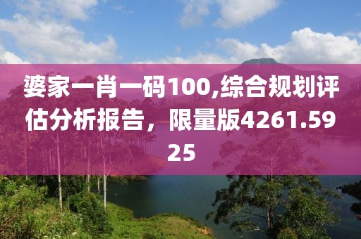 婆家一肖一碼100,綜合規(guī)劃評估分析報(bào)告，限量版4261.5925