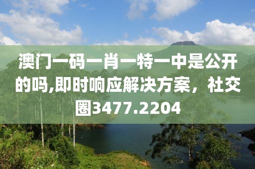 澳門一碼一肖一特一中是公開的嗎,即時響應解決方案，社交圈3477.2204