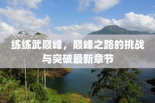 練練武巔峰，巔峰之路的挑戰(zhàn)與突破最新章節(jié)