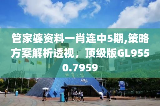 管家婆資料一肖連中5期,策略方案解析透視，頂級(jí)版GL9550.7959