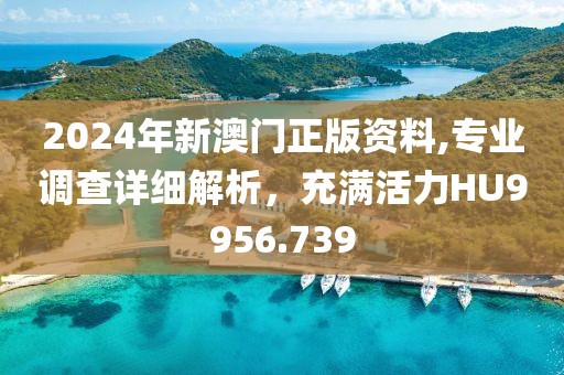 2024年新澳門正版資料,專業(yè)調(diào)查詳細解析，充滿活力HU9956.739