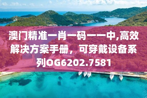 澳門精準一肖一碼一一中,高效解決方案手冊，可穿戴設(shè)備系列OG6202.7581