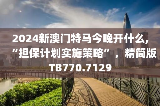 2024新澳門特馬今晚開什么,“擔保計劃實施策略”，精簡版TB770.7129