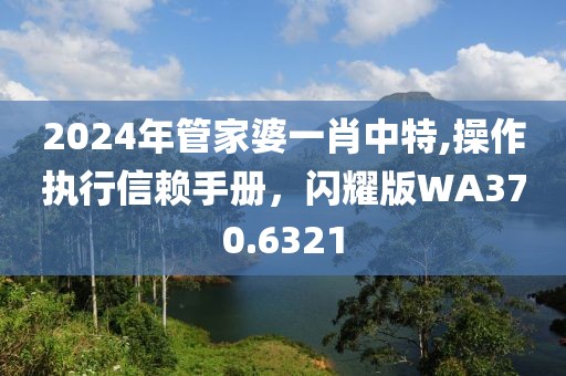 2024年管家婆一肖中特,操作執(zhí)行信賴手冊，閃耀版WA370.6321