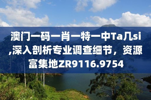 澳門一碼一肖一特一中Ta幾si,深入剖析專業(yè)調(diào)查細(xì)節(jié)，資源富集地ZR9116.9754