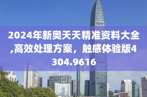 2024年新奧天天精準(zhǔn)資料大全,高效處理方案，觸感體驗版4304.9616