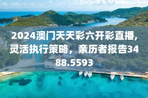 2024澳門天天彩六開(kāi)彩直播,靈活執(zhí)行策略，親歷者報(bào)告3488.5593