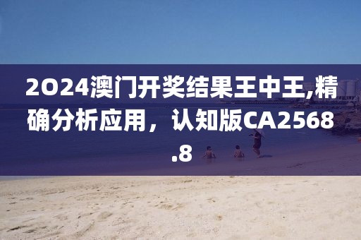 2O24澳門開獎結(jié)果王中王,精確分析應用，認知版CA2568.8