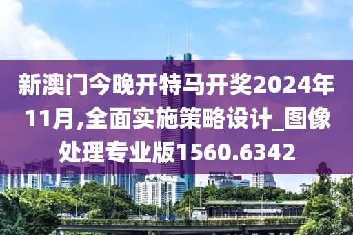 新澳門今晚開特馬開獎(jiǎng)2024年11月,全面實(shí)施策略設(shè)計(jì)_圖像處理專業(yè)版1560.6342