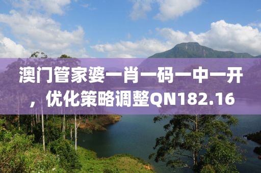 澳門管家婆一肖一碼一中一開，優(yōu)化策略調(diào)整QN182.16