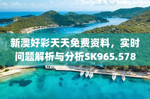 新澳好彩天天免費(fèi)資料，實(shí)時(shí)問(wèn)題解析與分析SK965.578