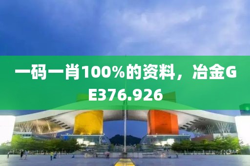 一碼一肖100%的資料，冶金GE376.926