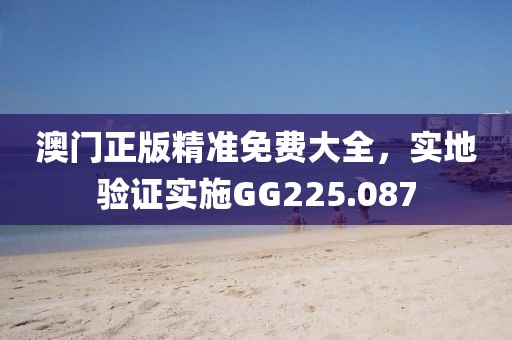 澳門正版精準免費大全，實地驗證實施GG225.087