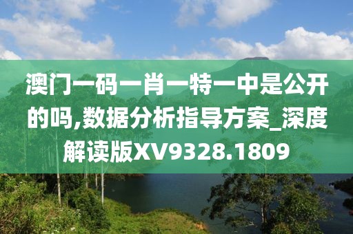 澳門一碼一肖一特一中是公開的嗎,數(shù)據(jù)分析指導(dǎo)方案_深度解讀版XV9328.1809