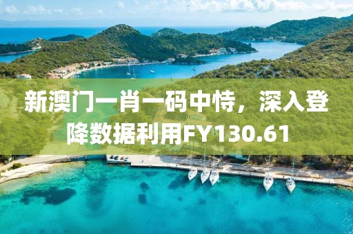 新澳門一肖一碼中恃，深入登降數(shù)據(jù)利用FY130.61