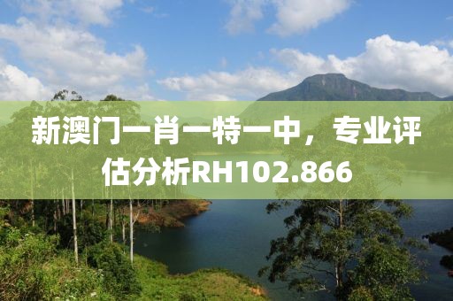 新澳門一肖一特一中，專業(yè)評估分析RH102.866