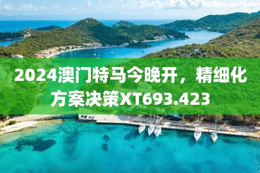 2024澳門特馬今晚開(kāi)，精細(xì)化方案決策XT693.423