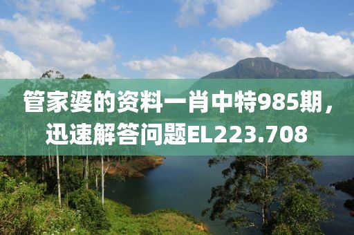 管家婆的資料一肖中特985期，迅速解答問題EL223.708