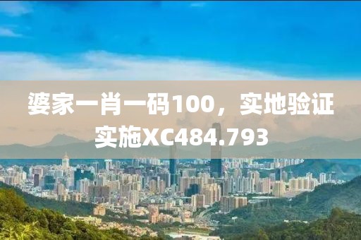 婆家一肖一碼100，實地驗證實施XC484.793