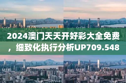 2024澳門天天開好彩大全免費，細致化執(zhí)行分析UP709.548