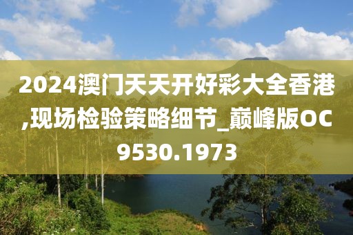 2024澳門天天開好彩大全香港,現(xiàn)場檢驗(yàn)策略細(xì)節(jié)_巔峰版OC9530.1973