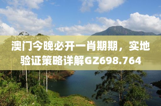 澳門今晚必開(kāi)一肖期期，實(shí)地驗(yàn)證策略詳解GZ698.764