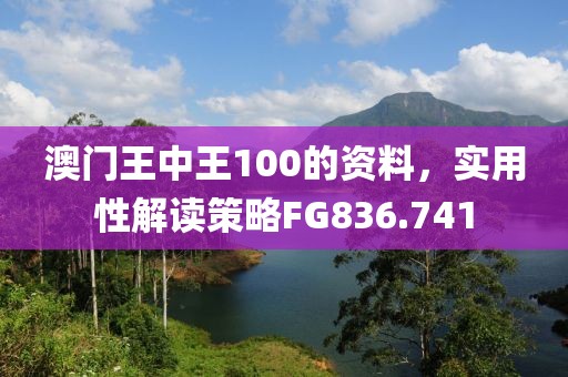 澳門王中王100的資料，實用性解讀策略FG836.741