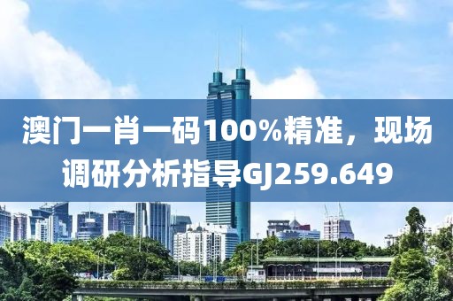 澳門一肖一碼100%精準，現(xiàn)場調(diào)研分析指導(dǎo)GJ259.649