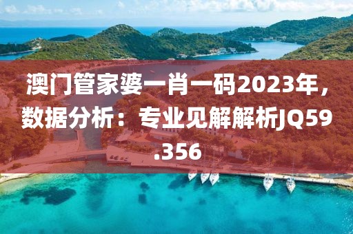 澳門管家婆一肖一碼2023年，數(shù)據(jù)分析：專業(yè)見解解析JQ59.356