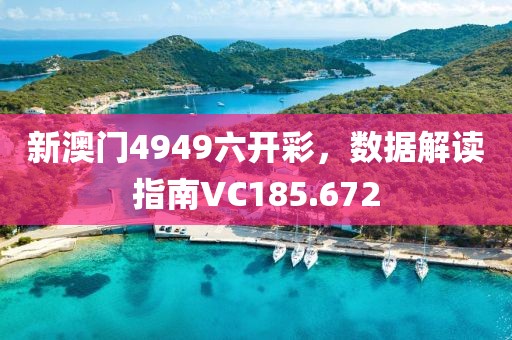 新澳門4949六開彩，數(shù)據(jù)解讀指南VC185.672