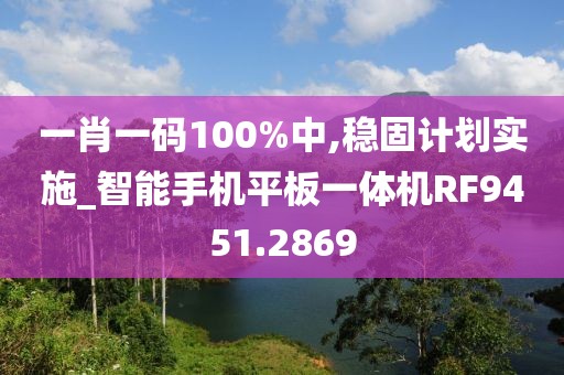 一肖一碼100%中,穩(wěn)固計(jì)劃實(shí)施_智能手機(jī)平板一體機(jī)RF9451.2869