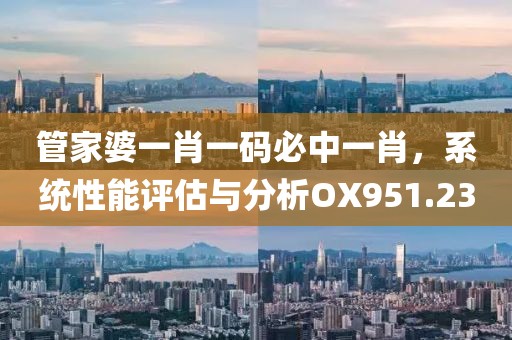 管家婆一肖一碼必中一肖，系統(tǒng)性能評估與分析OX951.23