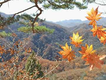 北京最新疫情官方消息，全力應(yīng)對，守護(hù)首都安全健康