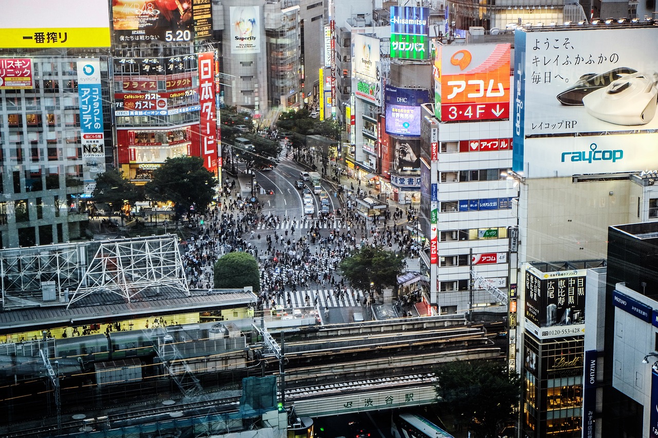 開(kāi)市客必買(mǎi)清單最新精選推薦與購(gòu)物指南