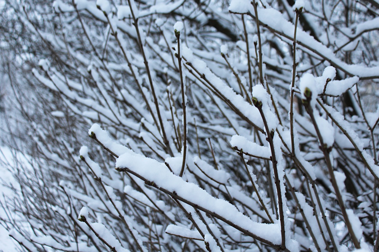 西嶺雪山最新路況實(shí)時(shí)更新報(bào)告