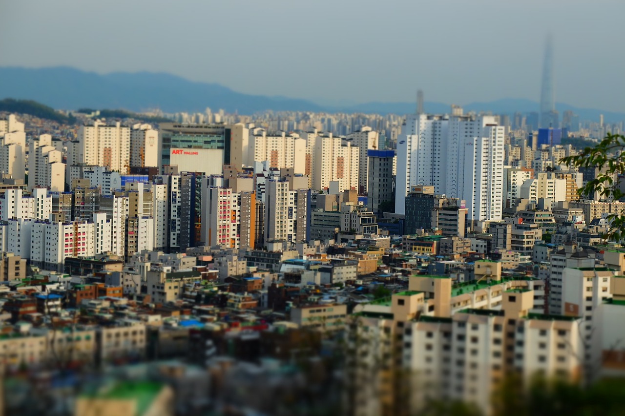 臨海河馬集市繁榮景象與發(fā)展趨勢(shì)，最新動(dòng)態(tài)概覽