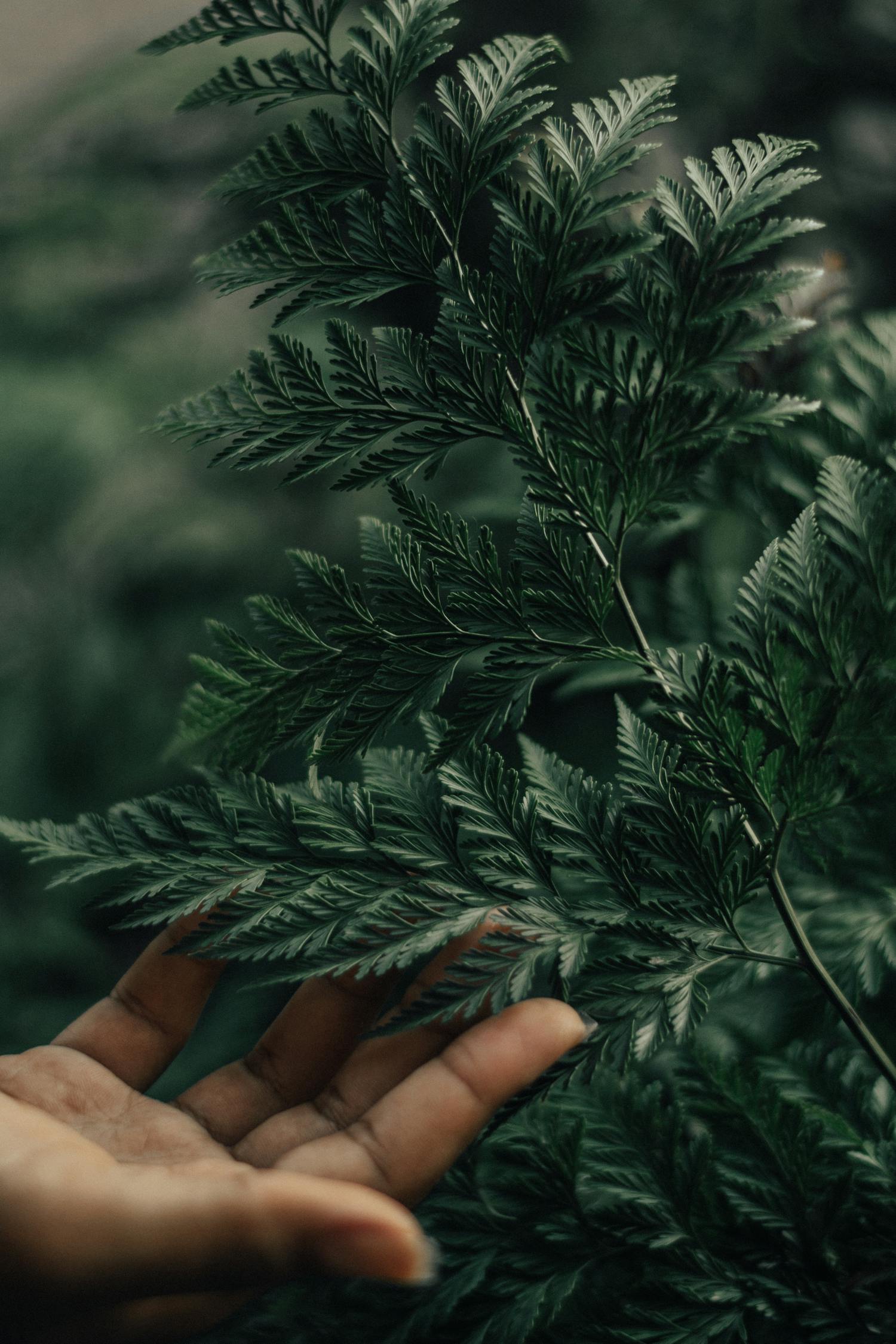 巴倫特朗普最新動態(tài)，商界領(lǐng)袖的成長與影響力聚焦