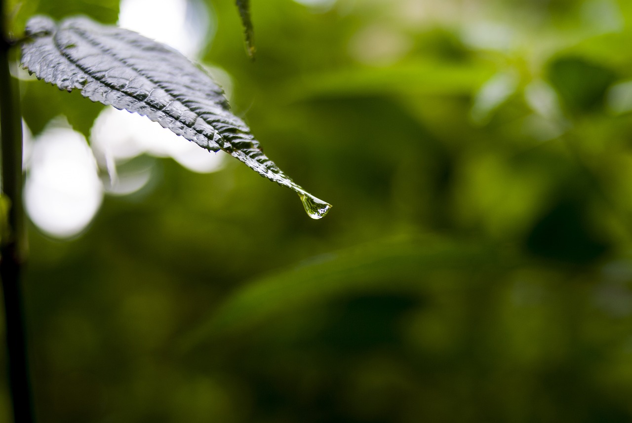 復(fù)華最新動態(tài)解讀，邁向新時代的步伐與策略