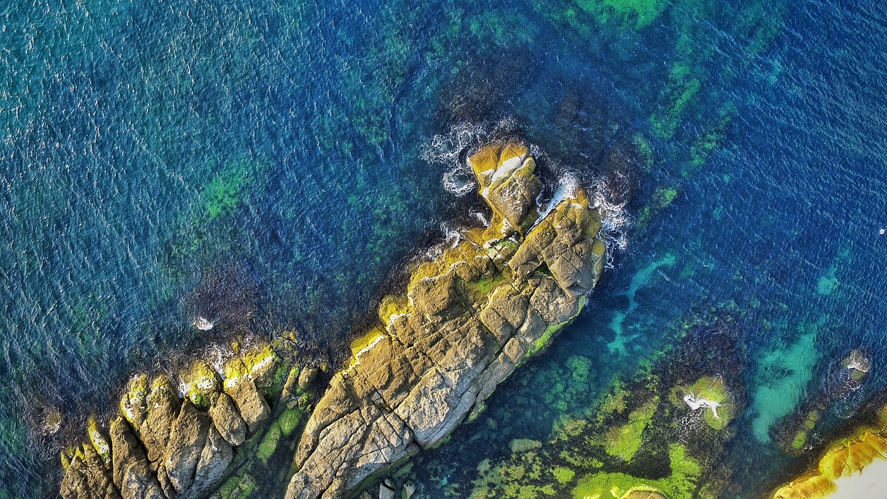 最新海賊王拼圖，海洋冒險的樂趣探索