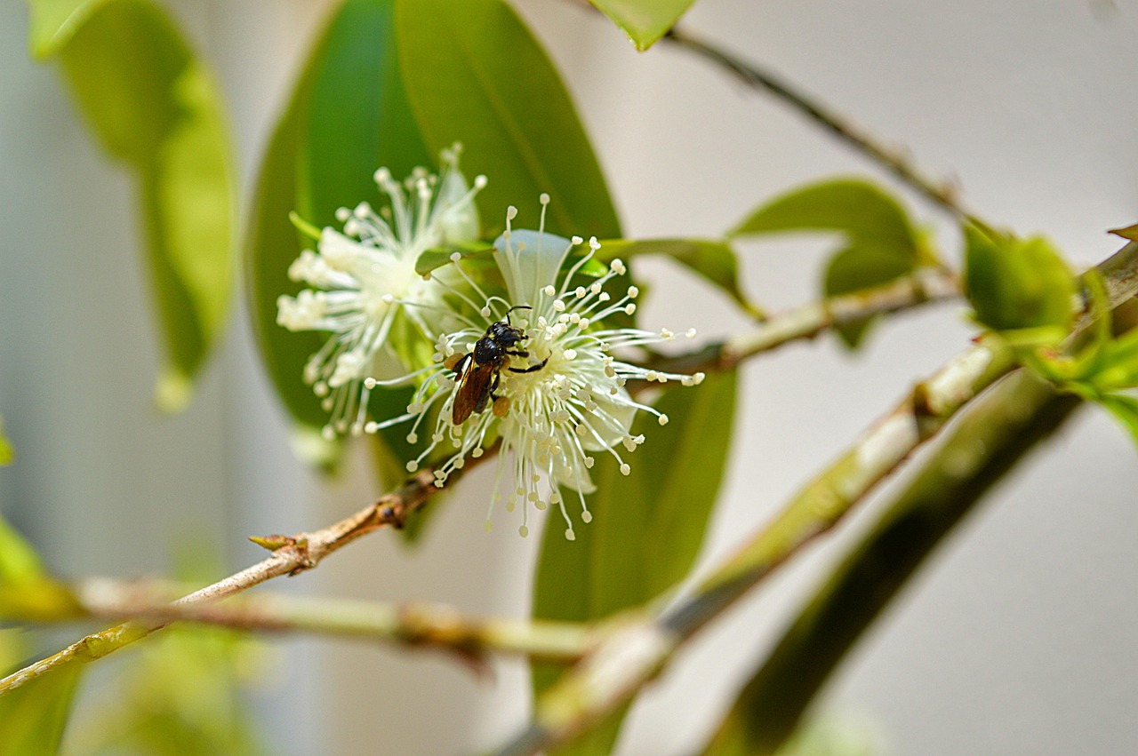 最新臺(tái)風(fēng)動(dòng)態(tài)，湖州南潯區(qū)受臺(tái)風(fēng)影響情況更新