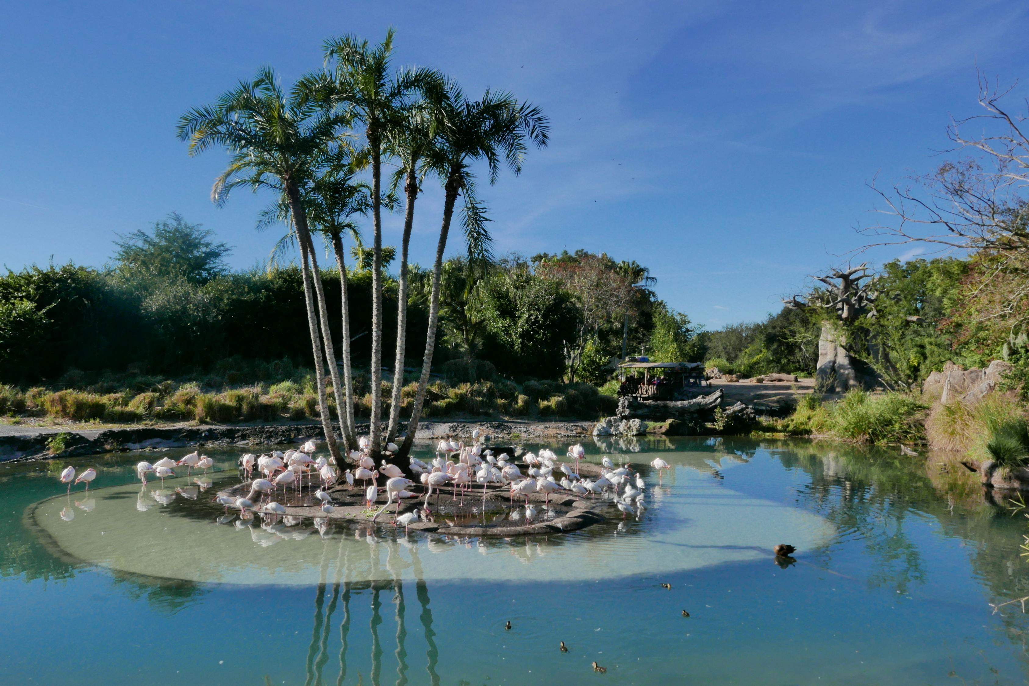 武漢動物園最新游玩指南